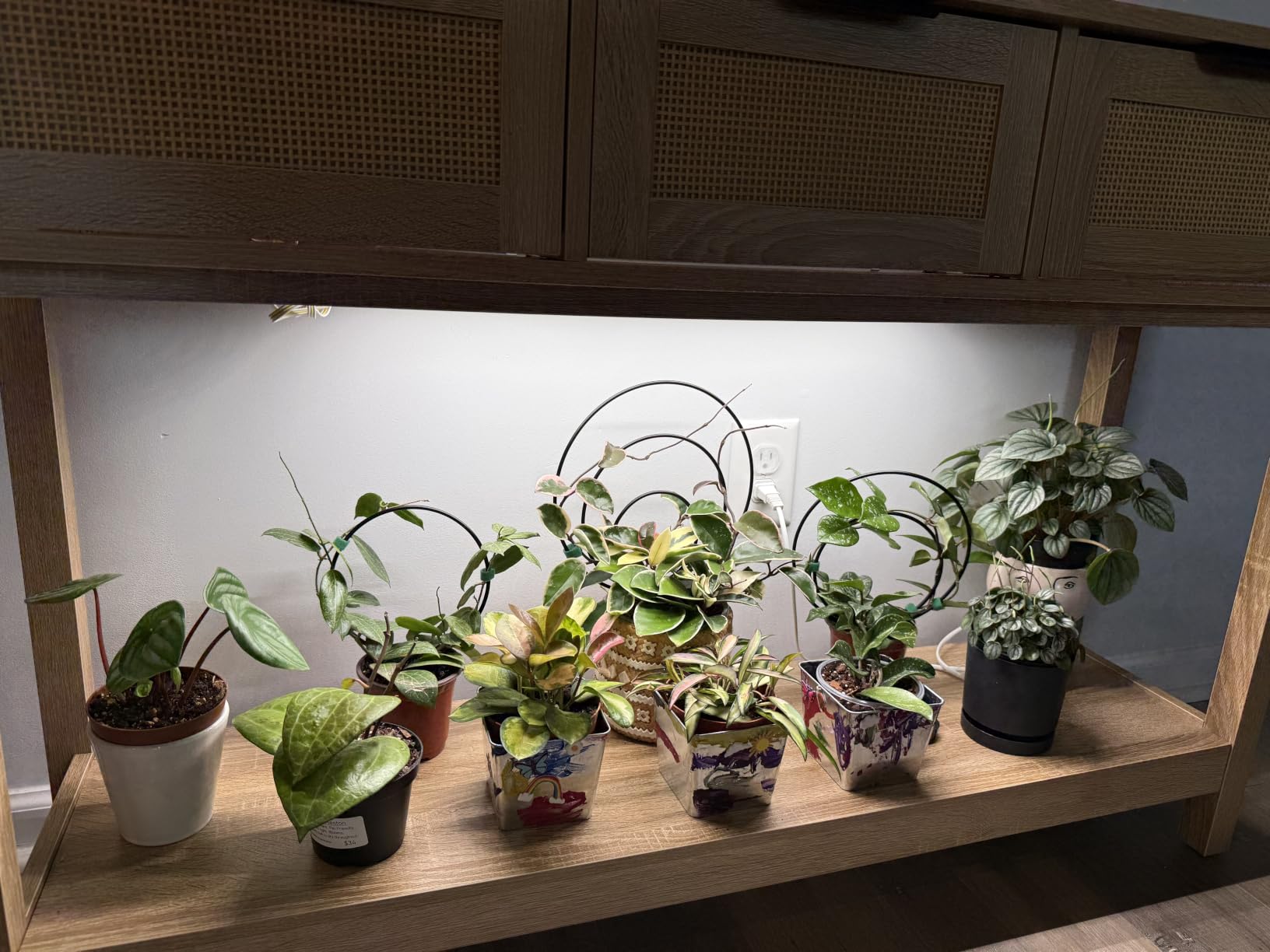 Barrina T5 Grow Lights for Indoor Plants, Full Spectrum, 1ft LED Plant Light, Black Cover LED Grow Light Strips, 3 Mounting Modes, Magnetic Installation, Plug and Play, 5000K, 4 Packs customer photo 1