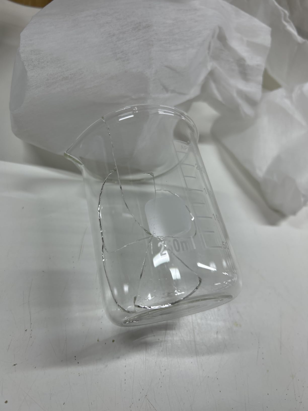 Glass Beakers Set, 5 Sizes - 10ml, 25ml, 50ml, 100ml, 250ml, 3.3 Borosilicate Beaker for Laboratories, Classrooms or Home, Griffin Low Form Lab Beakers customer photo 2