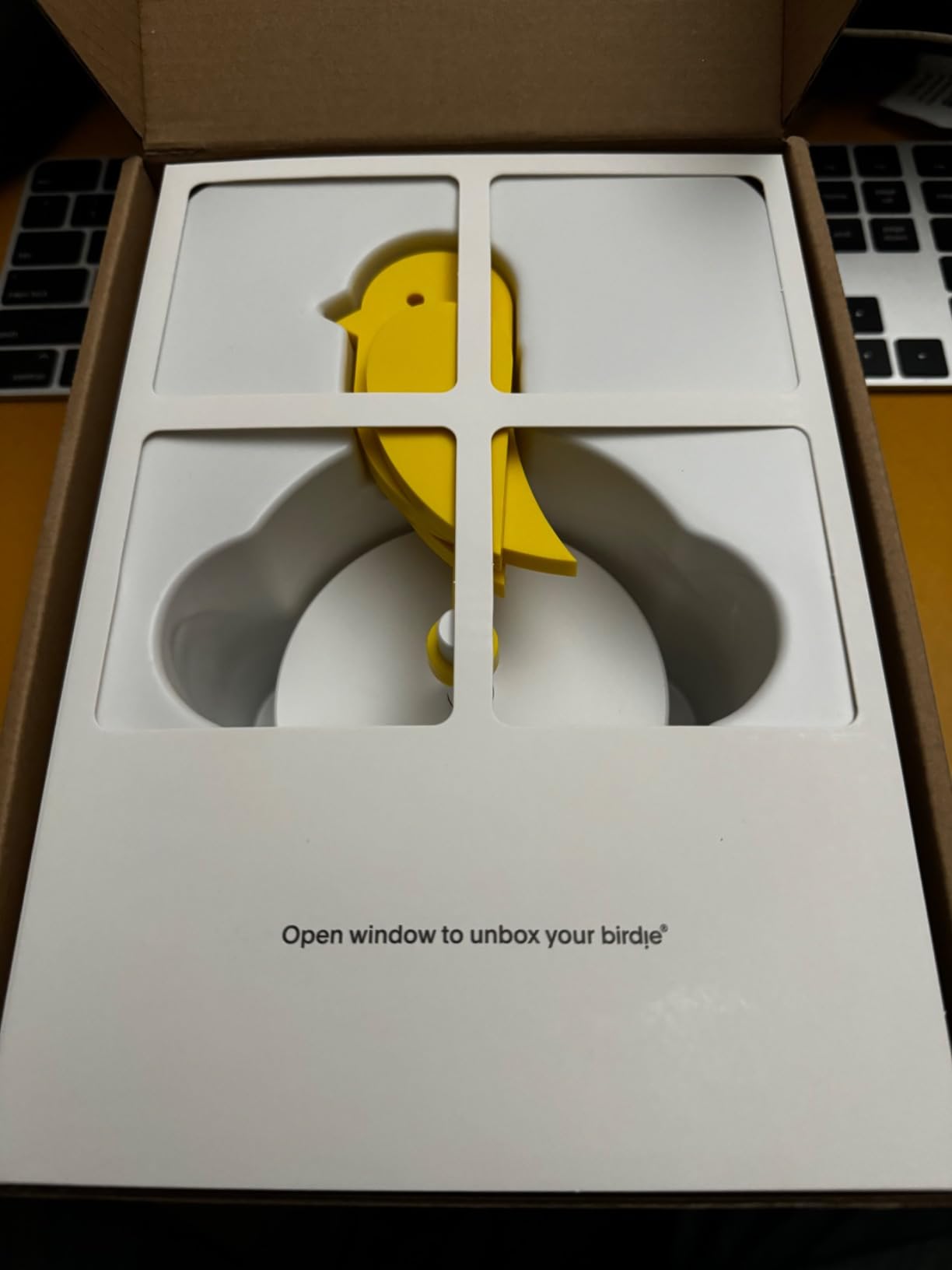 Birdie 2.0 - Design Indoor CO2 Monitor - Air Quality Monitor & CO2 Sensor for Home & Office - Visual Fresh Air Monitor for House Burping - Wall-Mounted, Swiss Sensor Technology customer photo 1