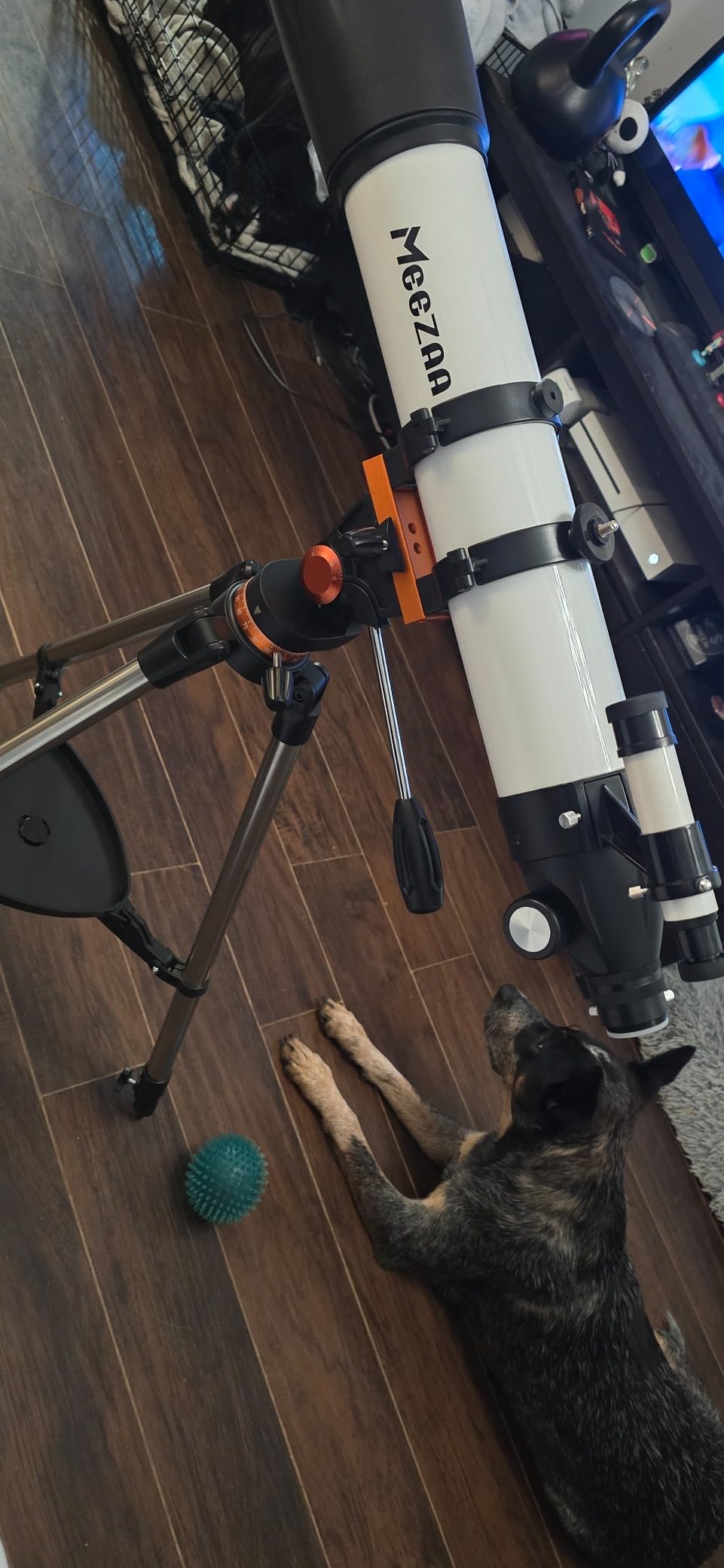 MEEZAA Telescope for Adults High Powered, 90mm Aperture 800mm Refractor | Professional Telescopes, for Astronomy Beginners Stargazing, Fully Multi-Coated, AZ Mount Tripod, Phone Adapter & Carry Bag customer photo 2