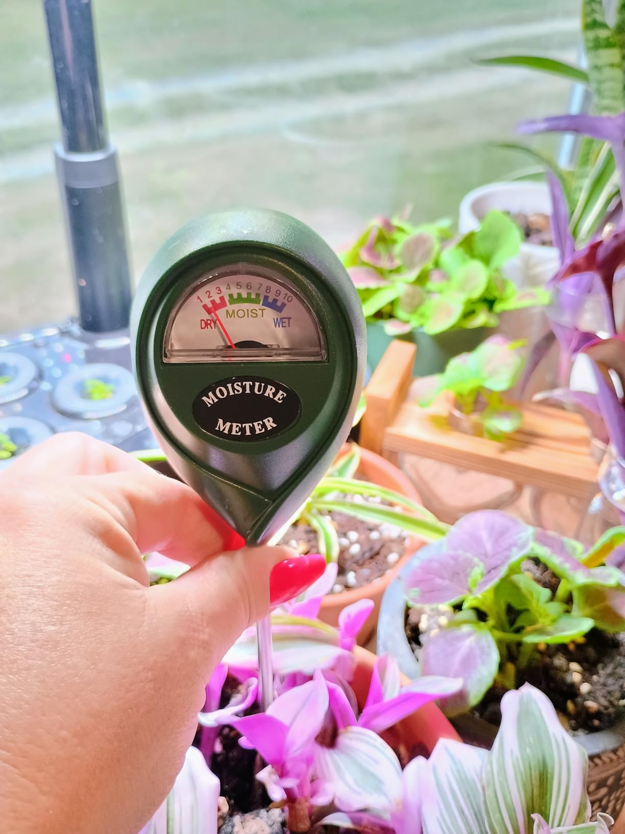 iPower 3-in-1 Plant Moisture/Light/PH Meter, Soil Test Kit for Gardening, Farming, Indoor & Outdoor Use customer photo 2