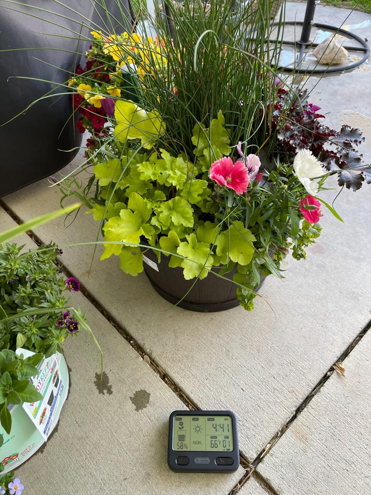 Dr.meter 4-in-1 Soil Moisture Meter 300ft Wireless Soil Tester Sensor | Temperature/Light/Time/Soil Hygrometer Monitor with Digital LCD Display for Indoor Outdoor Plants Garden Lawn customer photo 2