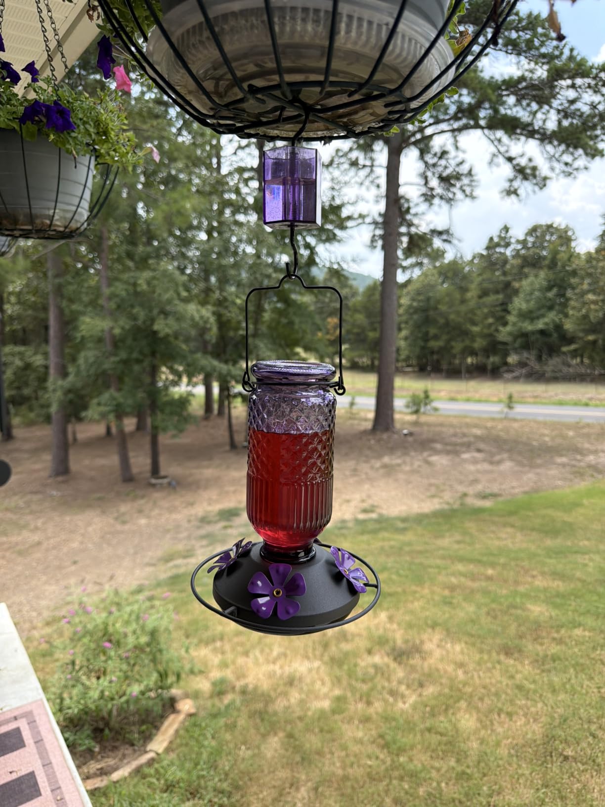 FEED GARDEN Glass Hummingbird Feeder for Outdoors Hanging, 16 oz Leak-Proof Nectar Feeder with Bee Guards & Ant Moat, 4 Metal Flower Feeding Ports, 360° Perch Ring, Easy Refill & Clean, Red customer photo 2