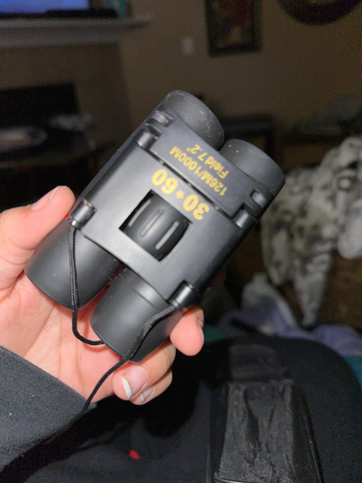Compact Binoculars for Adults and Kids, HD Mini Portable Outdoor Binoculars Children, Pocket Lightweight Folding for Bird Watching, Hunting, Concert, Theater, Opera, Traveling, Tourism, Shows customer photo 1