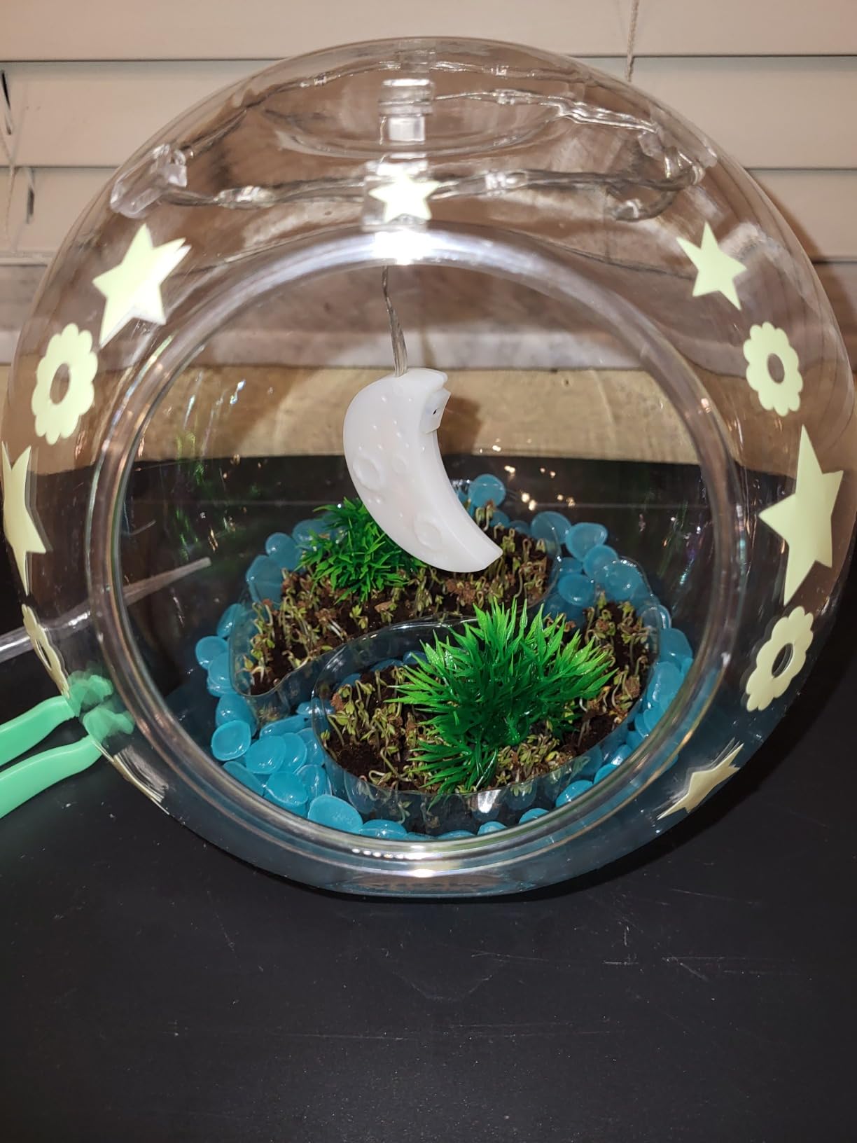 Wow in The World Light-UP Terrarium | Grow Plants, Decorate Your Terrarium, Glow-in-The-Dark, UV Lights, Companion Audio Content, Bonus Reusable Science Tool, STEM Toy for Kids 6+ by Thames & Kosmos customer photo 1