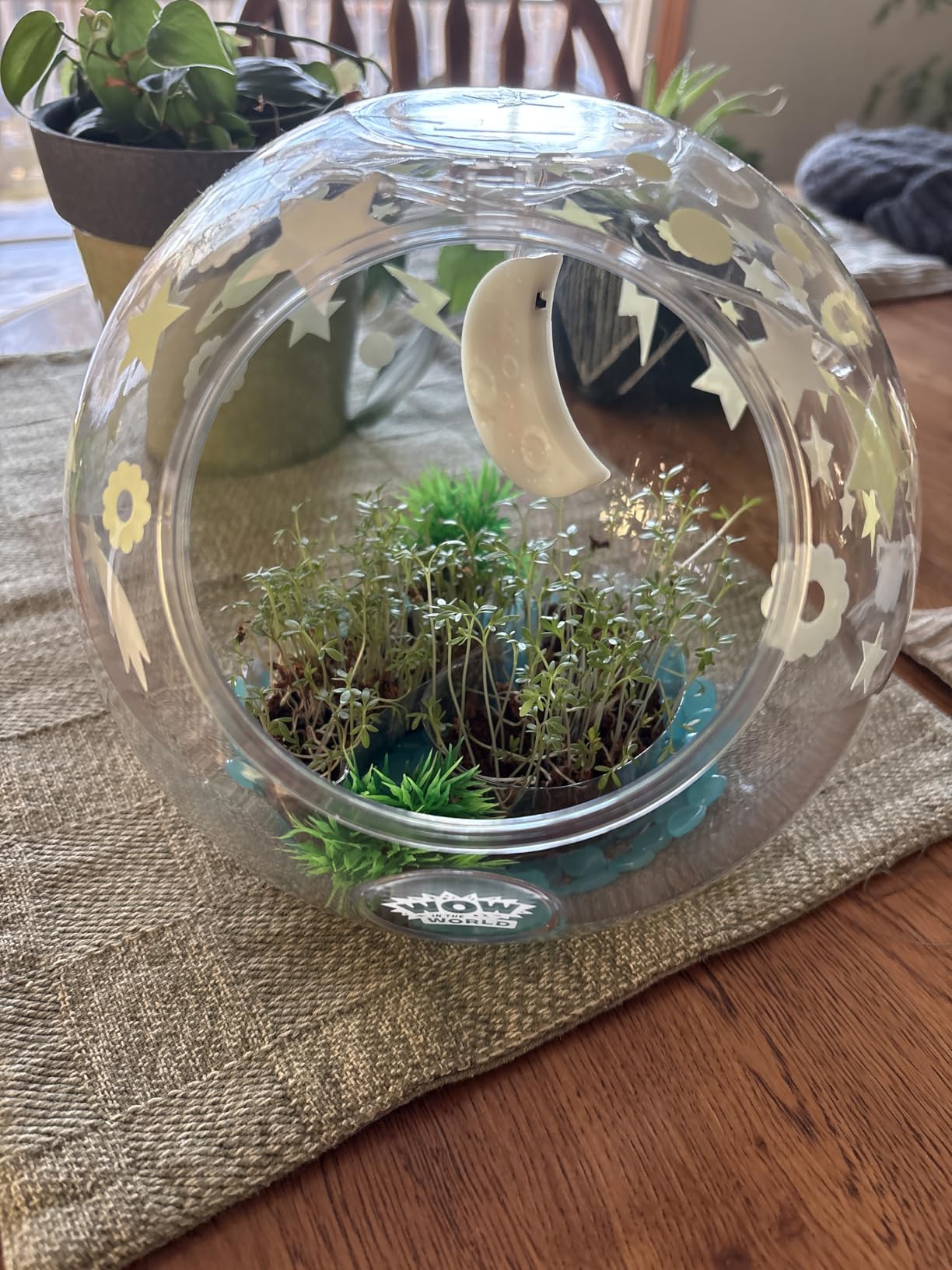 Wow in The World Light-UP Terrarium | Grow Plants, Decorate Your Terrarium, Glow-in-The-Dark, UV Lights, Companion Audio Content, Bonus Reusable Science Tool, STEM Toy for Kids 6+ by Thames & Kosmos customer photo 2