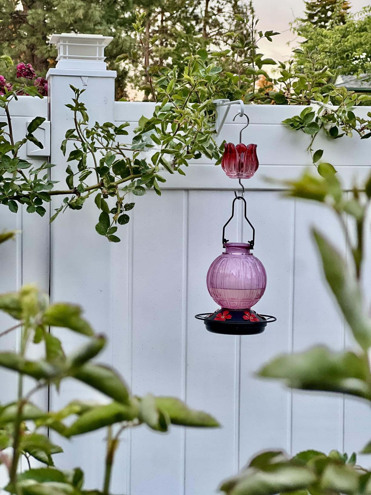 Glass Hummingbird Feeder for Outdoors Hanging, 26 fl oz Bird Nectar Feeder | 5 Metal Flower Feeding Ports, 360° Perch Ring, Easy Refill & Clean, Leakproof, Ideal for Backyard, Garden Outdoor Decor, Red customer photo 2