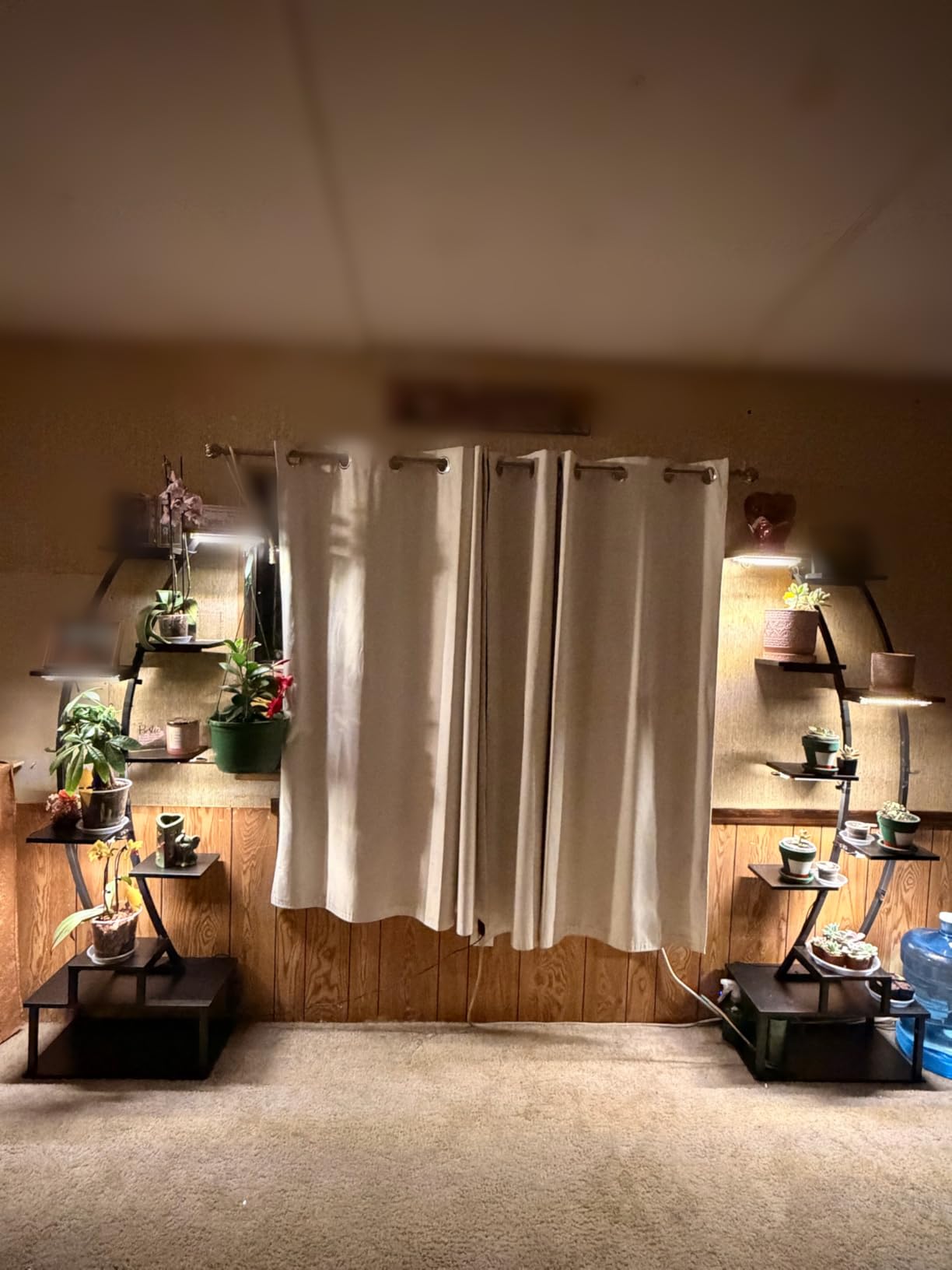 Plant Stand Indoor with 6 Grow Light, 65