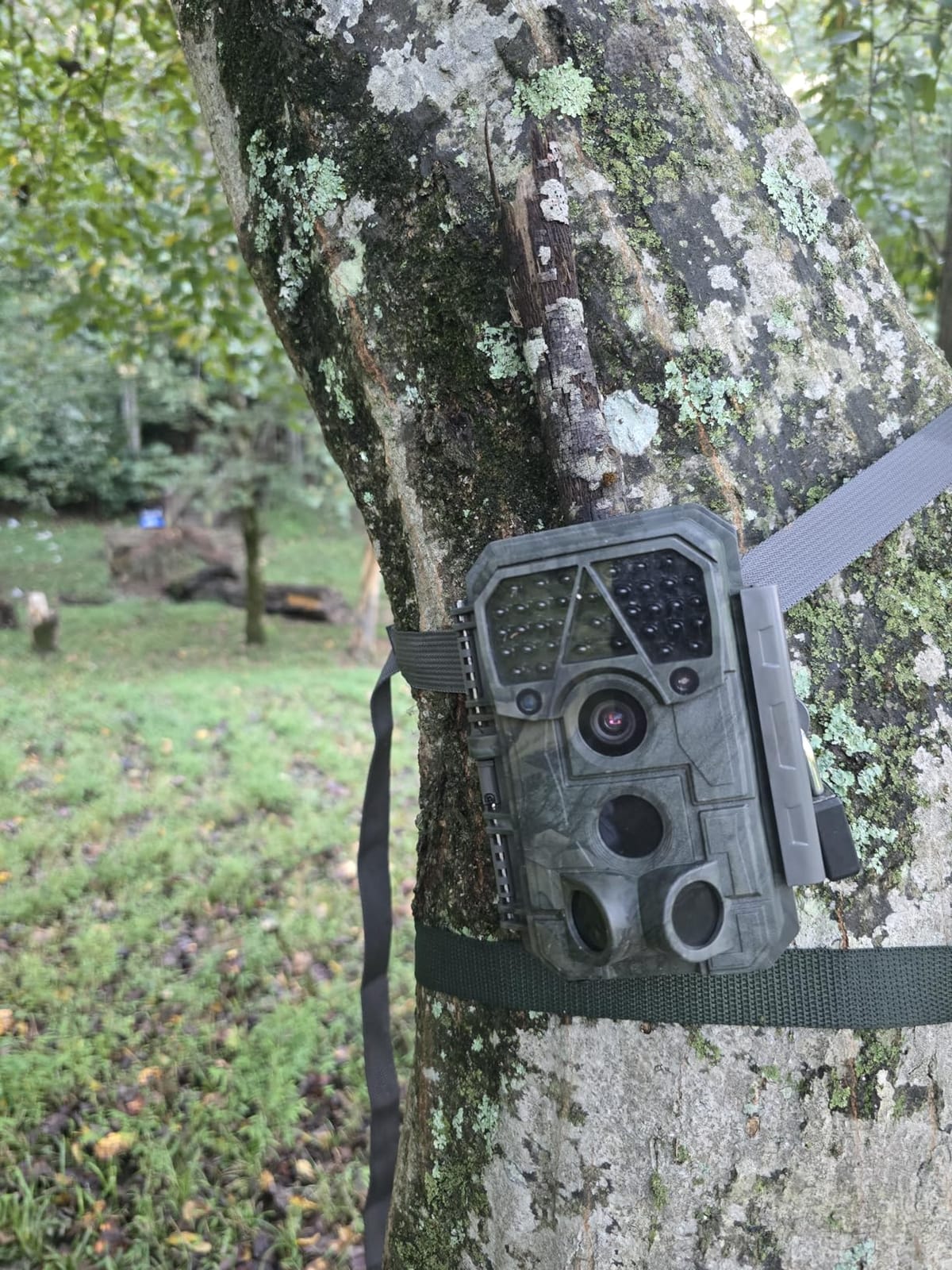 Meidase P70 (Non-Cellular, Non-WiFi) Trail Camera, 64MP 1296p, Game Cameras with No-Glow IR Night Vision, Motion Activated, Waterproof for Wildlife Deer Cams, Hunting customer photo 2