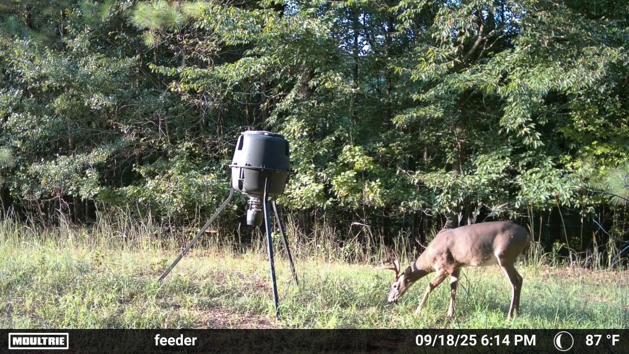 Moultrie Edge 2 Cellular Trail Camera - Auto Connect Nationwide 4G LTE - On Demand 36MP Photo - 1080P Video with HD Audio - 100 Ft Detection Range - Low Glow Flash customer photo 1