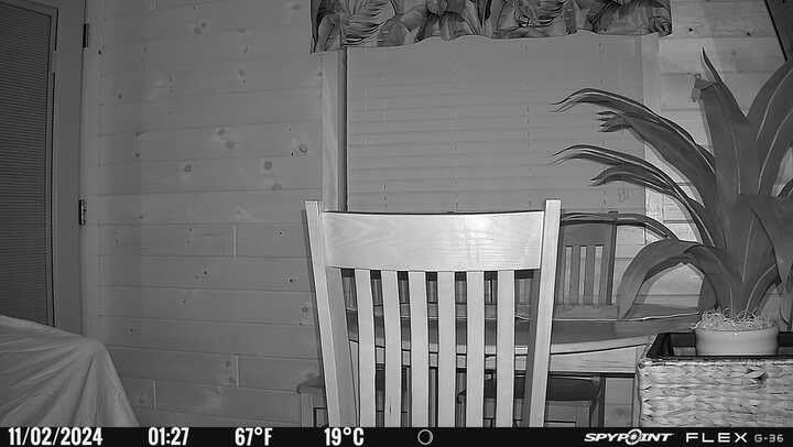 SPYPOINT Flex G-36 Camo - Outdoor Cellular Trail Camera, 1080p Video with Sound, 36 Megapixels, 0.3S Trigger Speed, 100 Flash and Detection Range with Improved Battery Life customer photo 1
