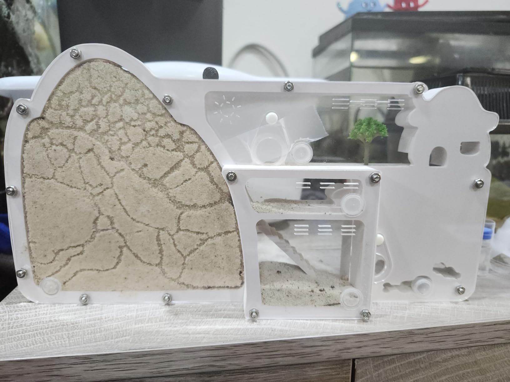Ant Farm Castle - Large Viewing Area - Care for Live Ants - Ant Colony Observation Kits with Sand Habitat - Educational Science Gifts for Boys, Girls - Ant Farms for Kids, Adults, Student (Yellow) customer photo 1