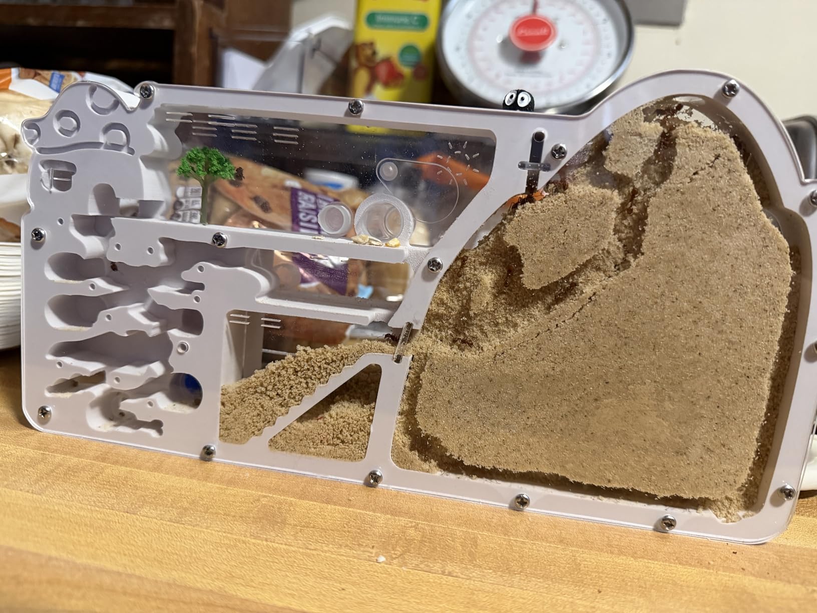 Ant Farm Castle - Large Viewing Area - Care for Live Ants - Ant Colony Observation Kits with Sand Habitat - Educational Science Gifts for Boys, Girls - Ant Farms for Kids, Adults, Student (Yellow) customer photo 2