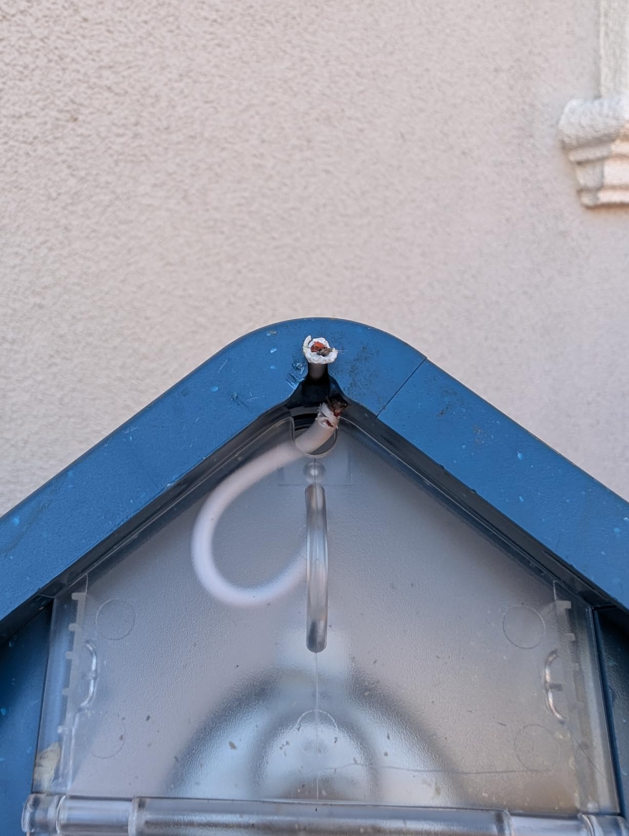 Birdbuddy Pro Solar Smart Bird Feeder with Camera, AI Bird ID, 2K Video | 2K video quality, 5MP Photos, 1/2.7