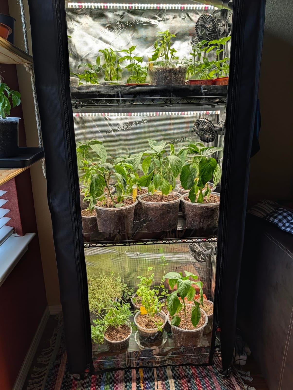 Spider Farmer 4 Tier Plant Stand with Grow Lights Indoor Greenhouse Shelf | 120W Full Spectrum LED Grow Lights, Grow Tent Cover with Visual Curtain and Blackout Curtain, Waterproof Trays, Movable Wheel customer photo 2