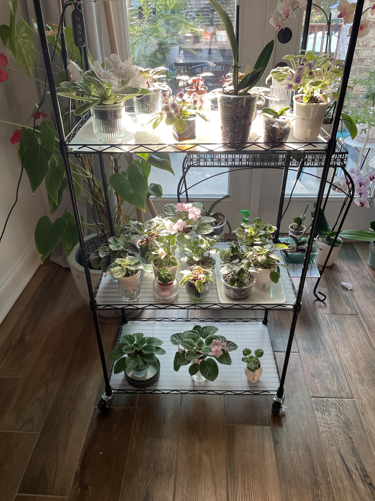 VEVOR Plant Stand with Grow Light, 4-Tier Plant Shelf with 45W Full Spectrum LED, 3 Mode Plant Light with Timer and Wheel for Seed Starting, Metal Plant Rack for Indoor Plants customer photo 1