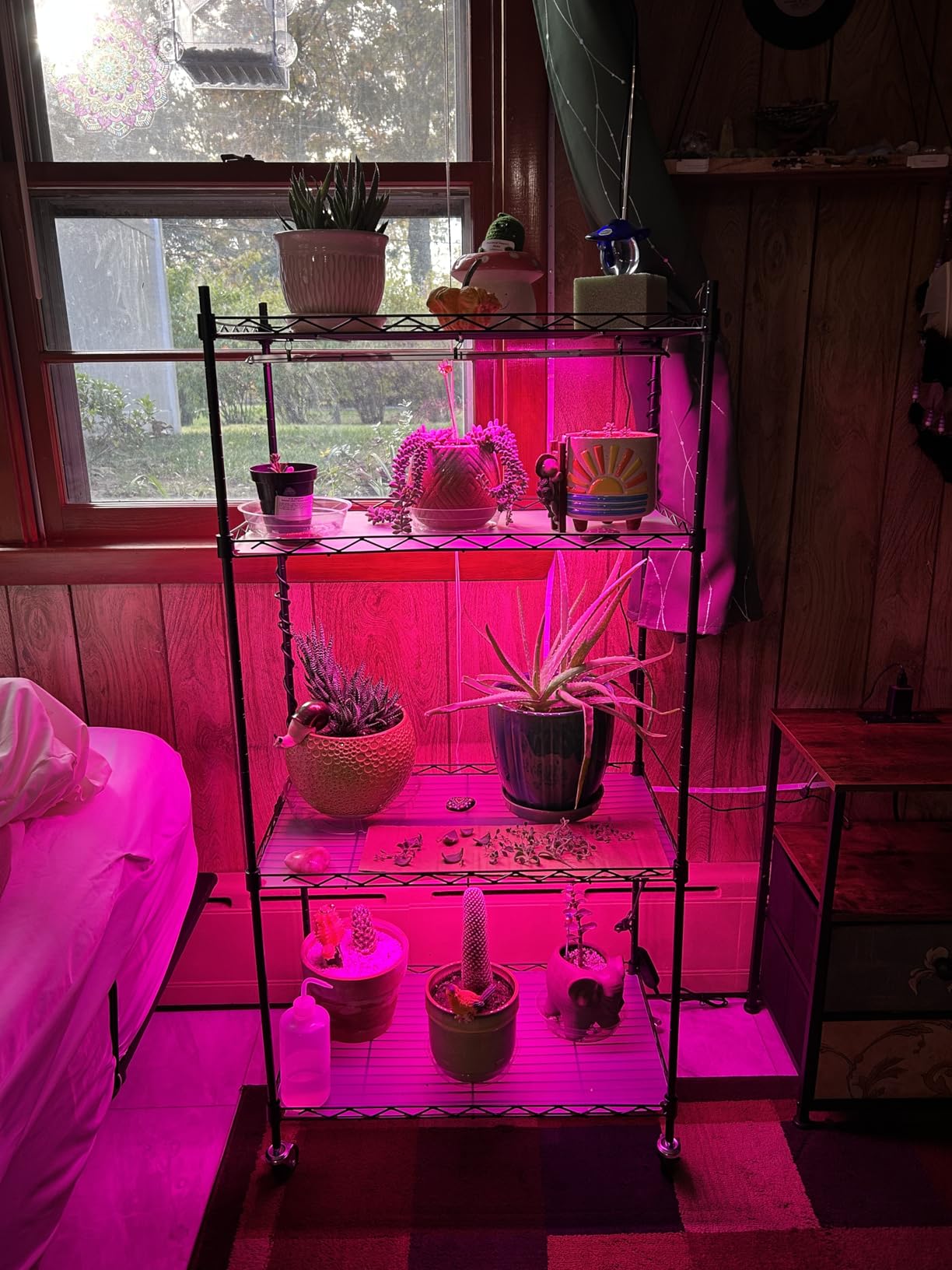 VEVOR Plant Stand with Grow Light, 4-Tier Plant Shelf with 45W Full Spectrum LED, 3 Mode Plant Light with Timer and Wheel for Seed Starting, Metal Plant Rack for Indoor Plants customer photo 2