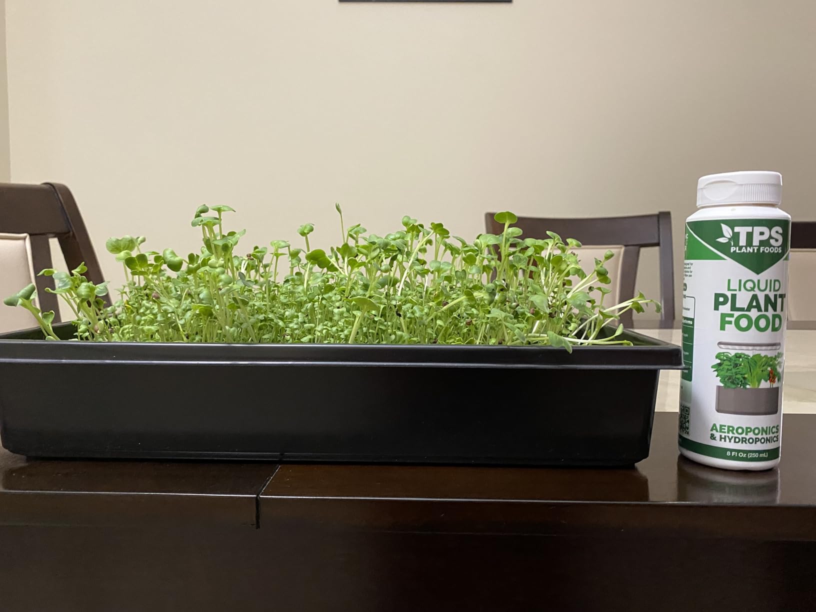 6 Pack Microgreens Growing Kit, Microgreens Trays for Indoor Gardening | 6 reusable trays, 12 hemp fiber grow mats, 15x11x2.5 Inch for sprouts wheatgrass hydroponic seed starting customer photo 2