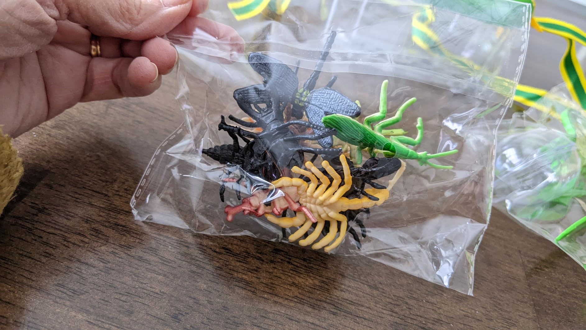 Bug Catcher for Kids, 17 PCS Bug Catching Kit with Bug Collector Toy Bugs | Butterfly Net Magnifying Glass Insect Catcher Tweezers, Outdoor Explorer Kit for Kids Age 3 4 5 6 7 8 customer photo 1