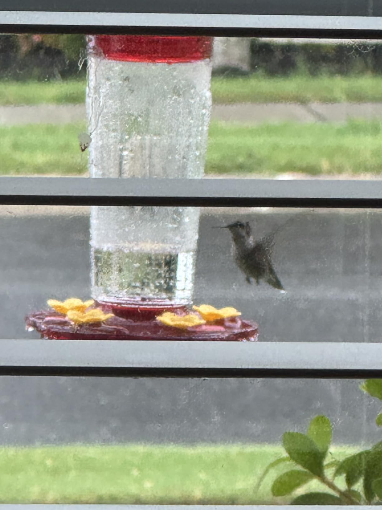 2 Pack Plastic Hummingbird Feeders for Outdoors Hanging Ant and Bee Proof, 15 Ounces Red Hummingbird Feeder with 5 Feeding Ports and Perches, Built-in Ant Moat, Outside Garden Décor (Plastic, 2) customer photo 2