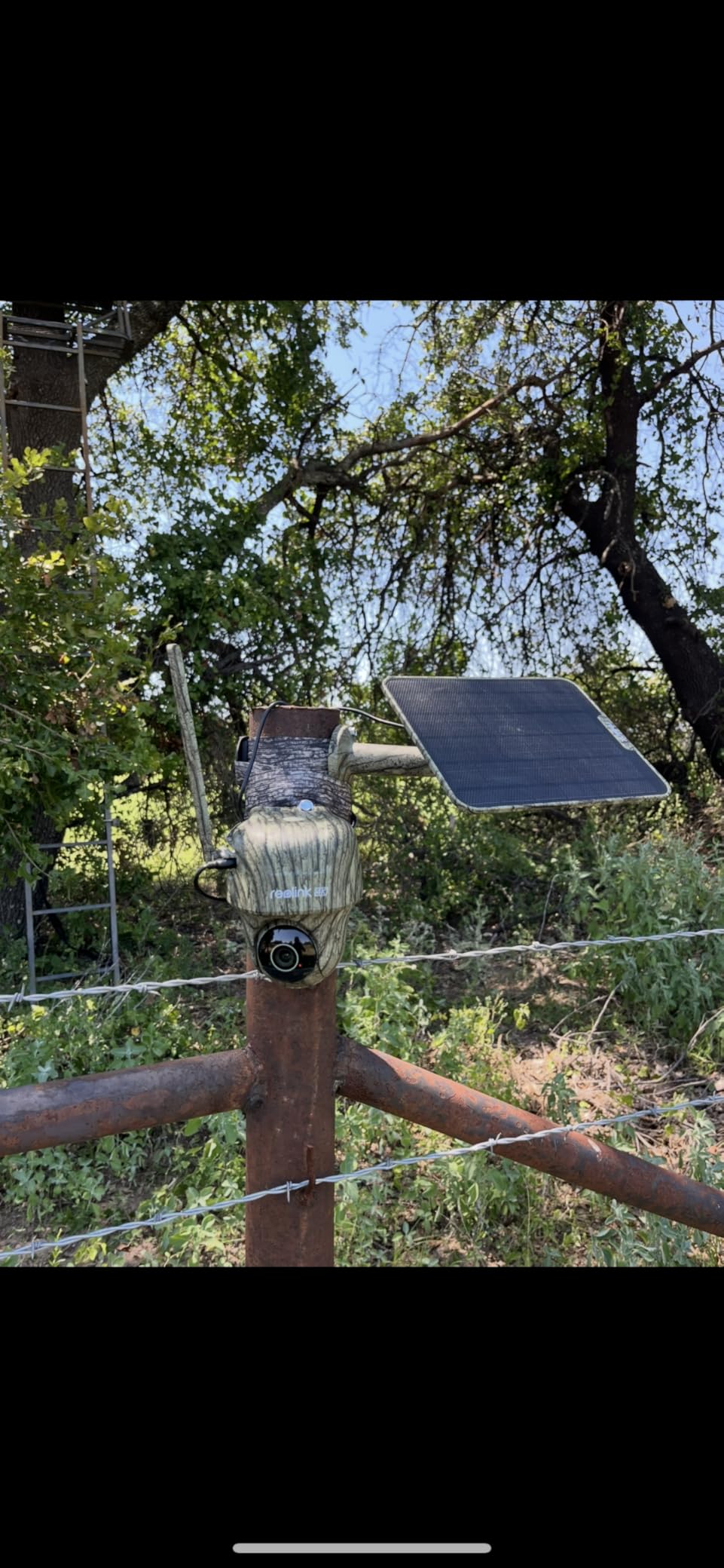 REOLINK 4K 4G LTE Cellular Trail Cameras, Solar Camera Outdoor Wireless | 8MP UHD Dual Lens & Live View, Animal Recognition, No-Glow IR, Smart Motion, SIM + 32GB SD Card Included, 360 Pan & Tilt customer photo 2