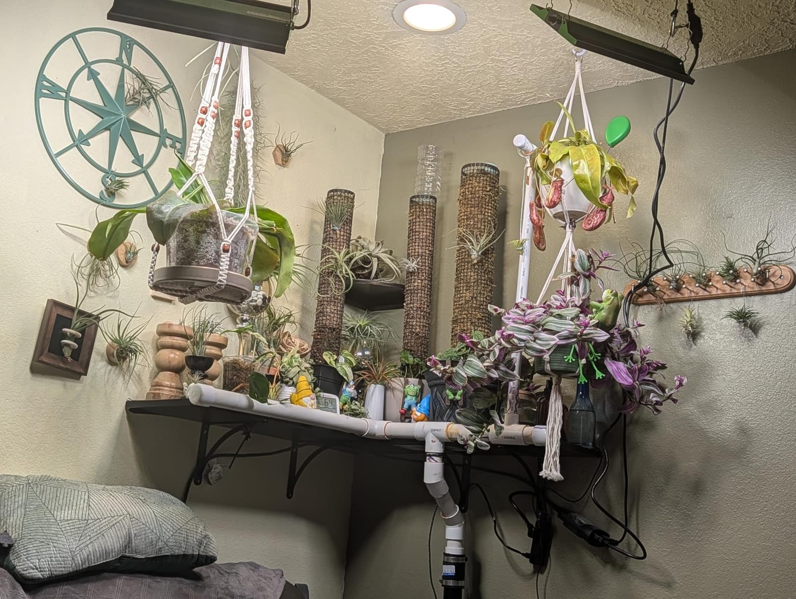 70 Watt Grow Light, Dimmable Plant Light, LED Grow Lights for Indoor Plants | VIPARSPECTRA P700 Full Spectrum Growing Lamp Seed Starting Seedlings Vegetable, 11000 Lumens Small Hanging for 2x2 Grow Tent customer photo 1