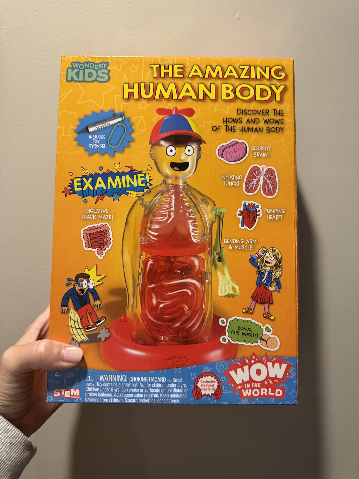 Wow in The World The Amazing Human Body Kit by Thames & Kosmos, Interactive Mechanical Anatomy Model w/Pumping Heart, Lungs, Digestive Tract, Glow-in-The-Dark Bones, Brain & More, Science for Ages 4+ customer photo 2