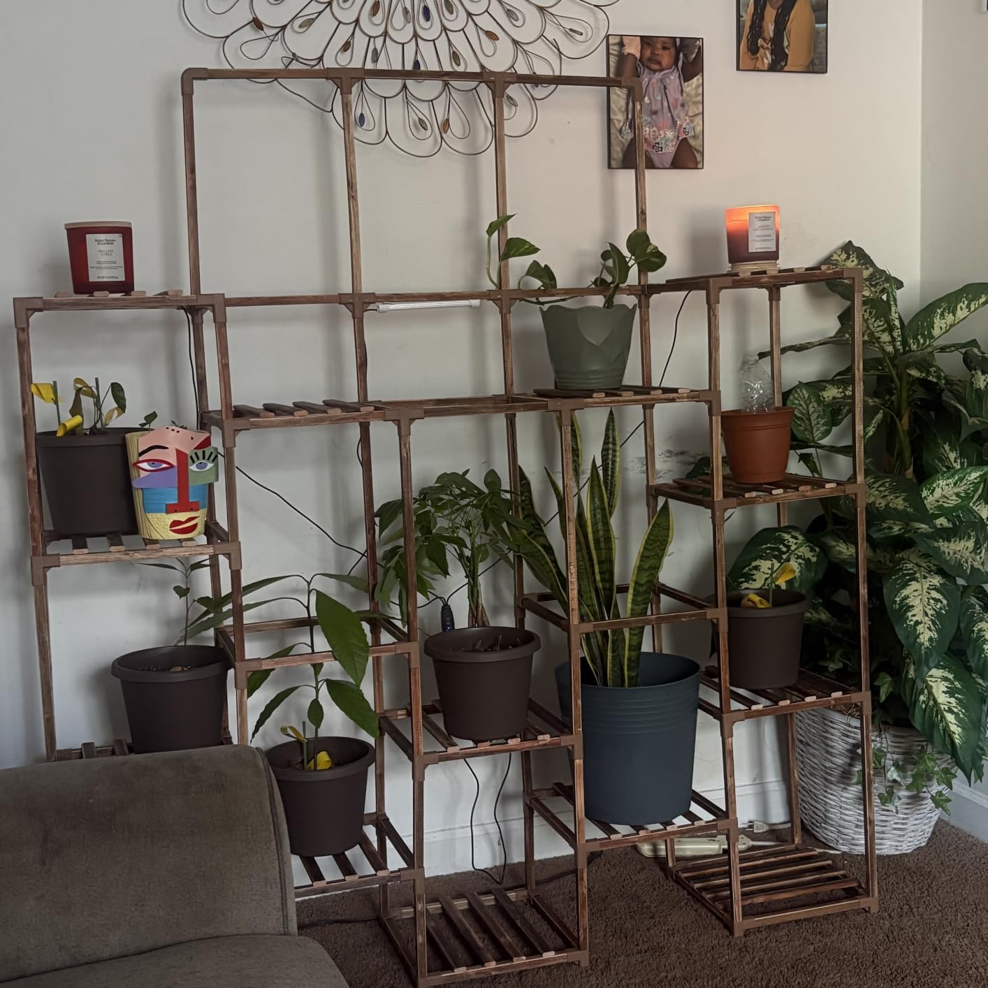 GENTINGBRO Plant Stand Indoor with Grow Light 14 tiers Large Plant Shelf for Indoor Plants Display Heavy Duty Plant Rack for Living Room Patio Decor customer photo 1