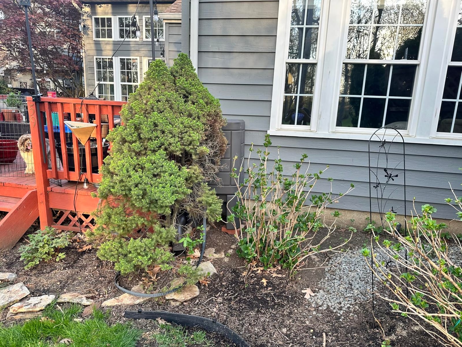 Step2 Lakewood Rain Barrel with Stand, Outdoor Water Conservation Container, Holds 60 Gallons, Brown customer photo 2