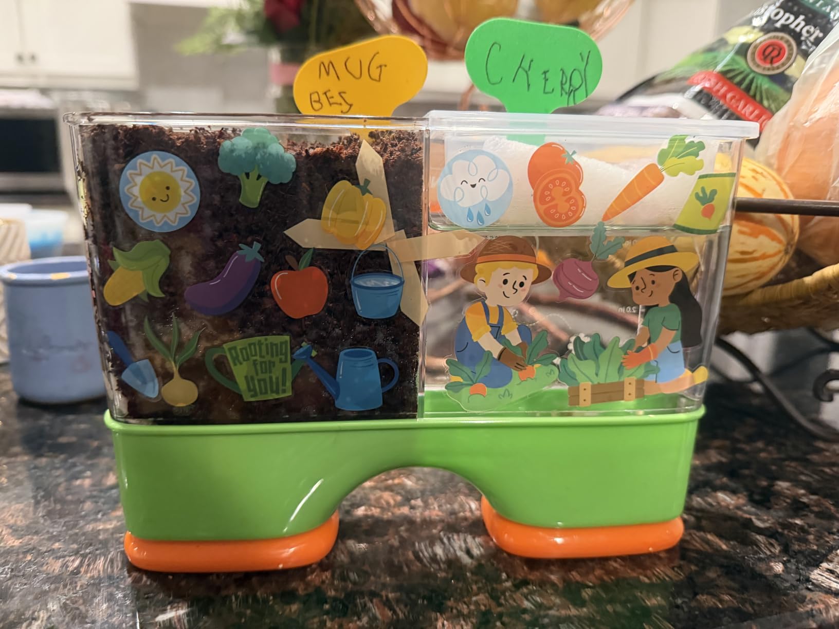 JOVA Klever Kits 2-in-1 Root Viewer & Planting Science Kit for Kids - STEM Learning Gifts for Kids Aged 6+, Soil & Hydro Observation Kit Birthday Toys Gifts for Boys and Girls customer photo 1
