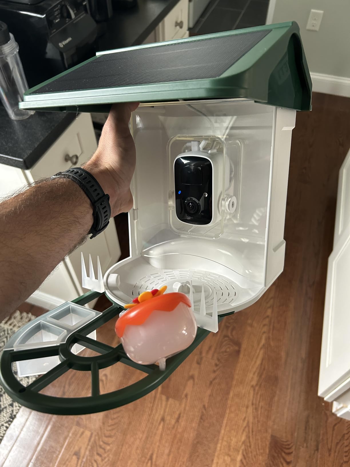 Bird Feeder with Camera Solar Powered-2K Live Feed, Smart AI Identify Birds, 2L Food Capacity, Auto Captured Bird Video, Real-time Arrived Alerts, Mini Hummingbird Feeder for Outdoor Backyard customer photo 2