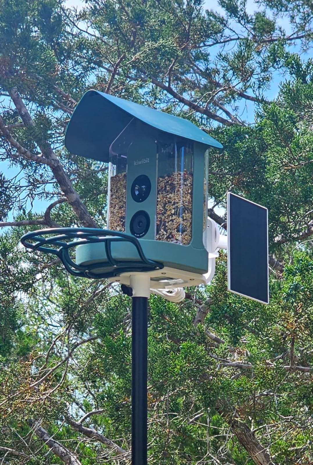 Kiwibit Smart Bird Feeder with 4K AI Camera Solar Powered, 8MP Photos | 4K Livestream & Instant Bird Alerts, Bird Identification, Family Sharing 20 Members, Adjustable Solar Panel, Easy Refill customer photo 1