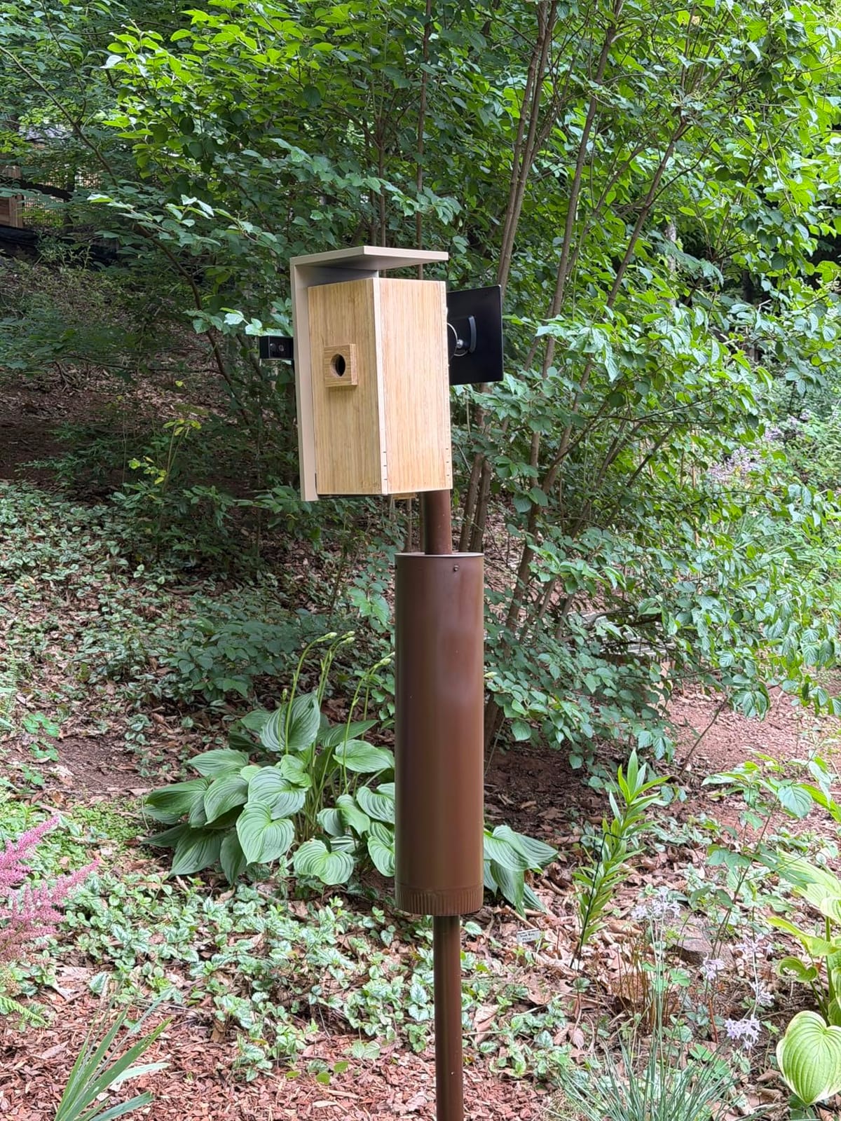Smart Bird House with Dual 1080P Cameras, Lifetime Free AI Bird ID | Solar Powered, Remote Control, Bamboo Bird Nest for Garden & Bird Lovers, Watch Robin Nesting Story in Realtime, DIY Gift customer photo 2