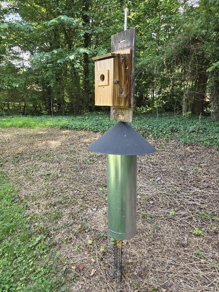 KinetCam Bird House with Camera Solar Powered, Isolated Camera Bay, Cedar | 2K HD, Night Vision, Auto Detect, App Control, Wi-Fi Bird Watching for Outside Nesting, Bluebird House with Camera customer photo 1