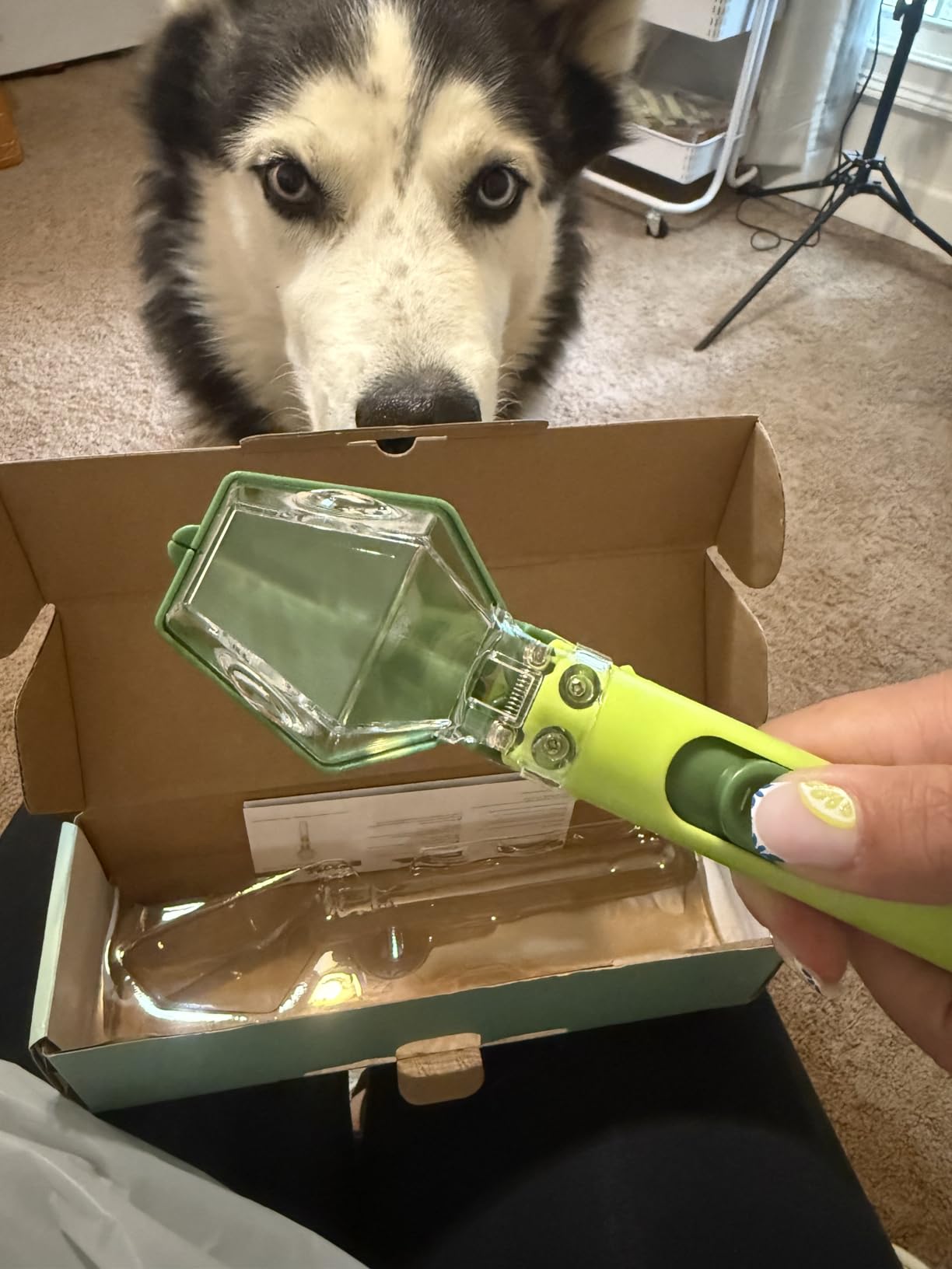 Bug Catcher for Kids with 6X Magnifier, STEM Educational Exploration Toys | Insect Trap Tool for Indoor and Outdoor Bug Discovery, Christmas Birthday Gifts for Adults, Boys and Girls, Green customer photo 2