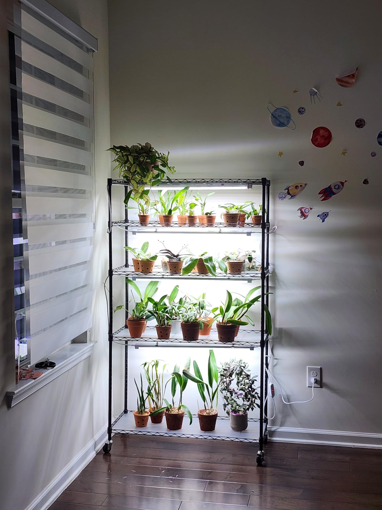 FREELICHT Plant Stand with Grow Light 5-Tier, 4×30W 5000K, 29.5x13.8x61.5IN | DIY Adjustable Metal Plant Shelf & Wheels, 120W 2FT Full Spectrum LED Indoor Grow Lights with Timer for Vegs, Seed Starting customer photo 1