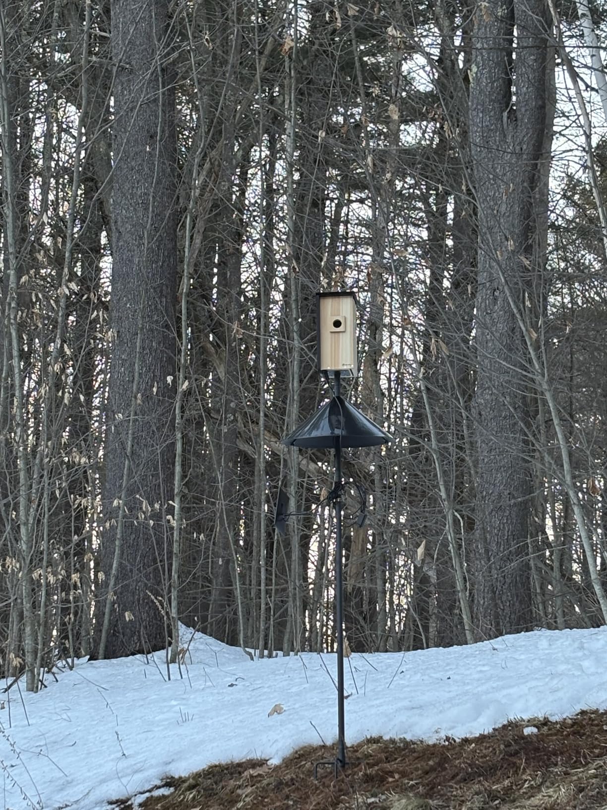 Birdfy Bird House with Camera & Metal Cladding, Lifetime Free AI Bird ID | Remote Control & Solar Powered, 1080P FHD & Night Vision, Fits Bluebirds/Finches/Wrens/Chickadees customer photo 1