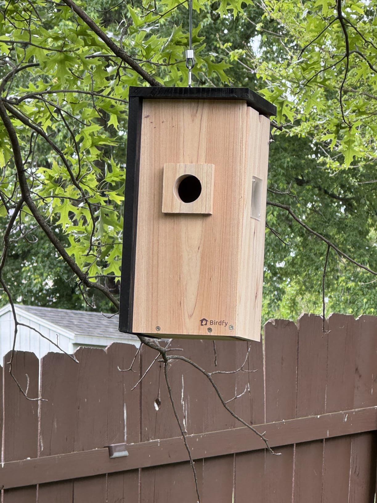 Birdfy Bird House with Camera Inside, Metal Clad, AI Bird ID & Nest Story | 1080P HD & Night Vision for Bluebird Finch Swallow Wren Chickadee Nesting Watching, Auto Detect & Notify, 5200mAh Battery customer photo 2