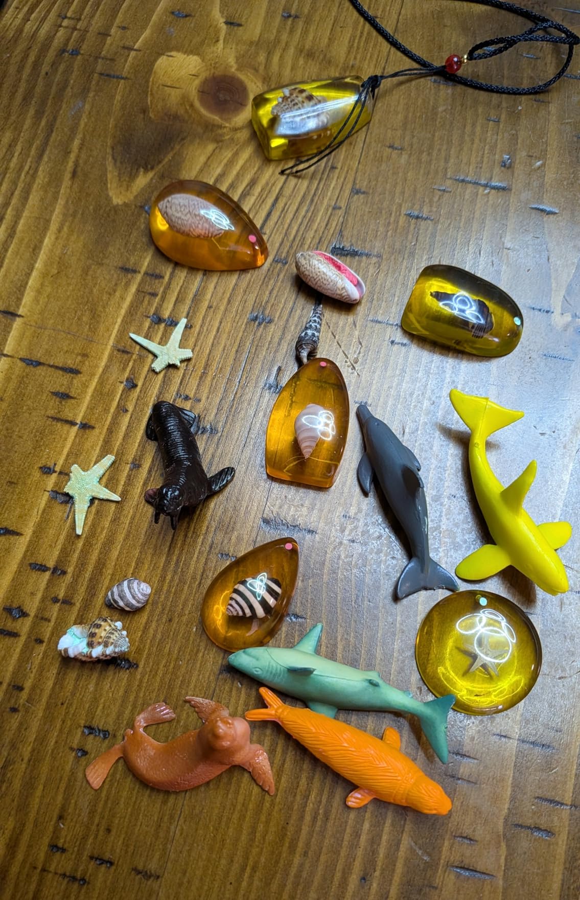 PIBEX Under the Sea Dig Kit, 18 Seashells, Amber & Animals, Necklace Making | Snail Shells Resin Amber with Starfish, Ocean Animal Creatures Toy, Marine Biology Gift, STEM Activity Kit for Kids Ages 6-12 customer photo 1