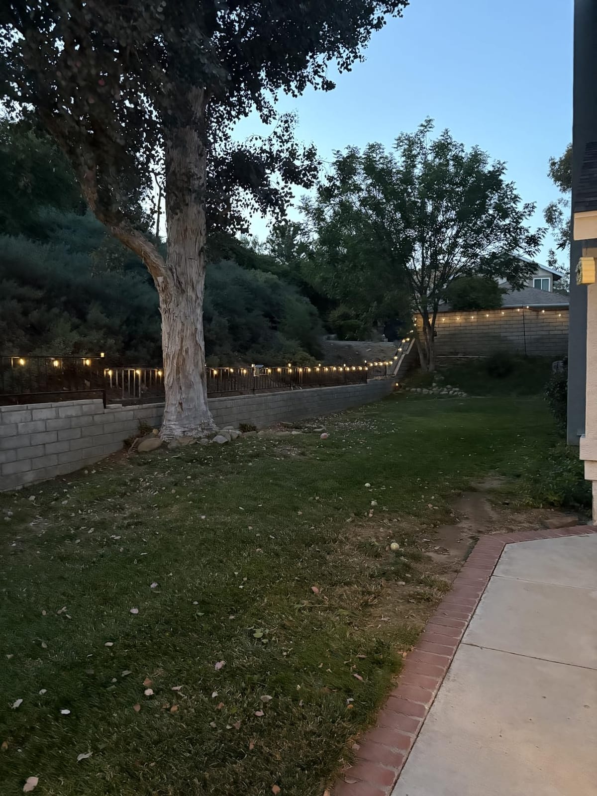 Brightown 100FT Solar String Lights Outdoor, 31+2 Shatterproof LED Bulbs | Waterproof, Remote Control, Dimmable, Timer, 3 Light Modes, Up to 26H Runtime for Backyard, Patio and Party Decor customer photo 1