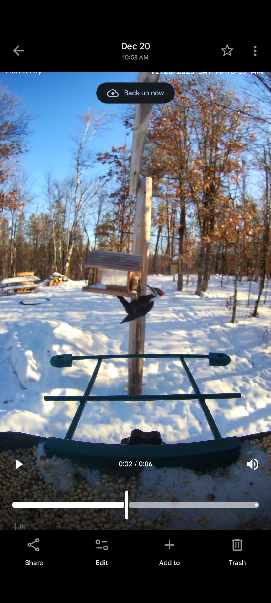 Bird Feeder with Camera, 4K Ultra HD Video with 30fps Live View, 10x Slow Motion, No Subscription, Solar Powered AI Smart Bird Feeder with Camera, 2.4G/5G Wi-Fi, Durable Metal,Bird Lover Gift customer photo 1