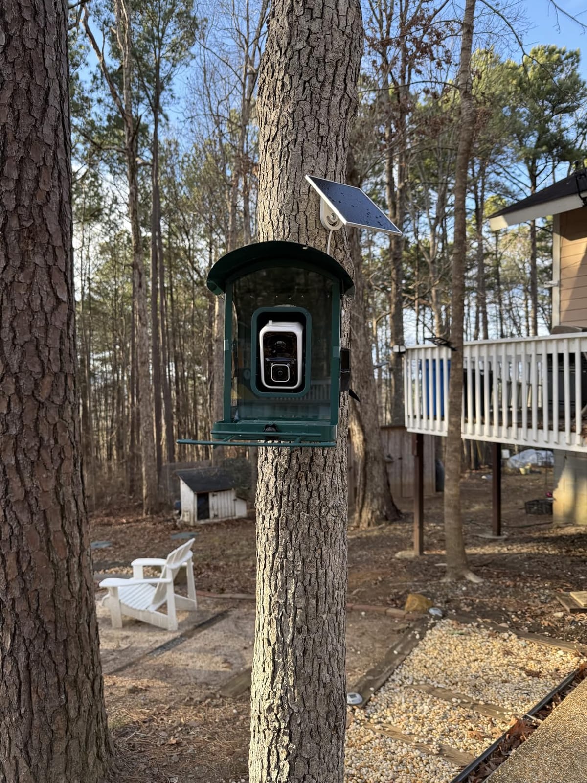 Bird Feeder with Camera, 4K Ultra HD Video with 30fps Live View, 10x Slow Motion, No Subscription, Solar Powered AI Smart Bird Feeder with Camera, 2.4G/5G Wi-Fi, Durable Metal,Bird Lover Gift customer photo 2