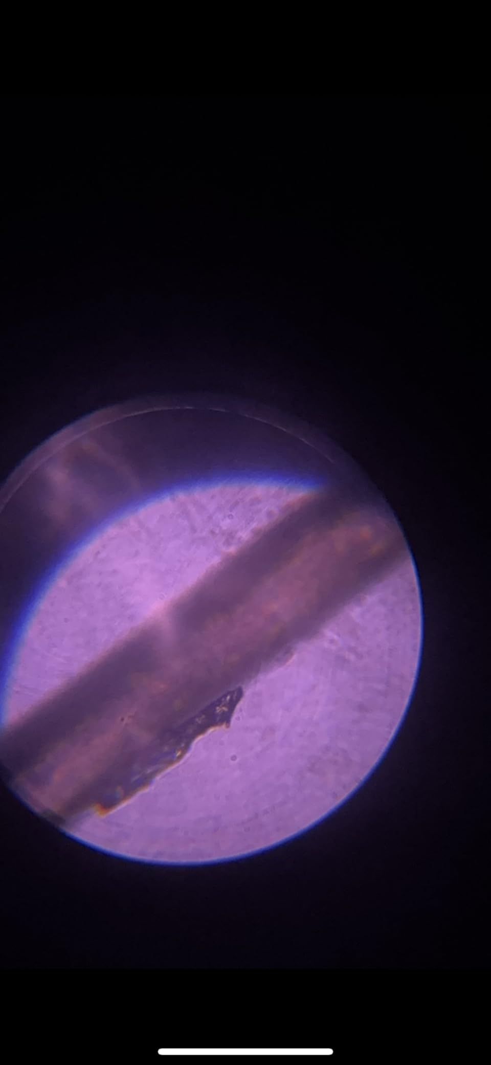PalliPartners Compound Binocular Microscope for Adults, Professionals & Kids customer photo 1