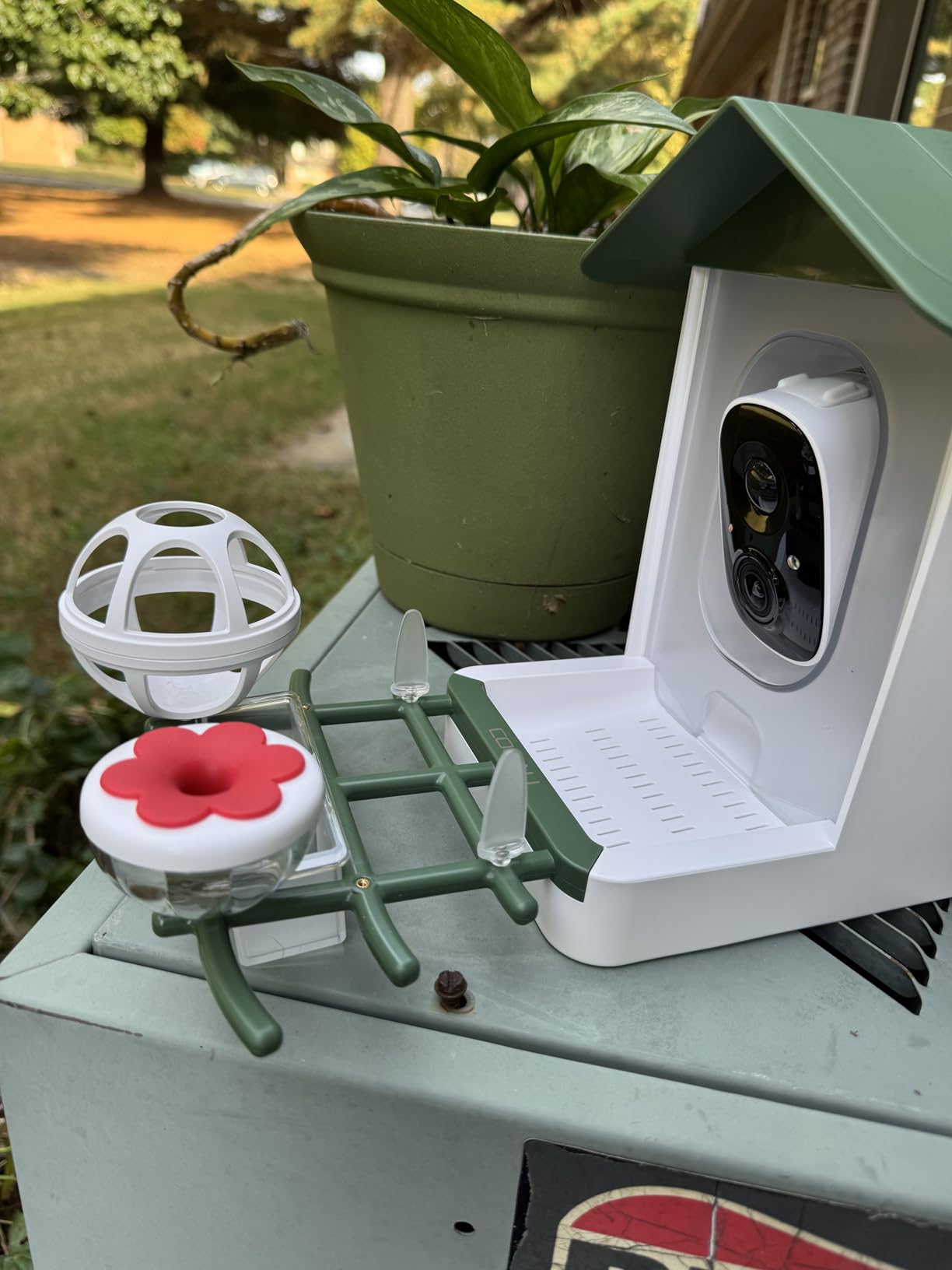 COOAU 5MP Smart Bird Feeder with Camera, 30% Faster Solar Charging | Free 30-Day AI Bird Identification, Live Video Birdwatching and Notifications, Gifts for Parents, Backyard Garden Decor-Green customer photo 2