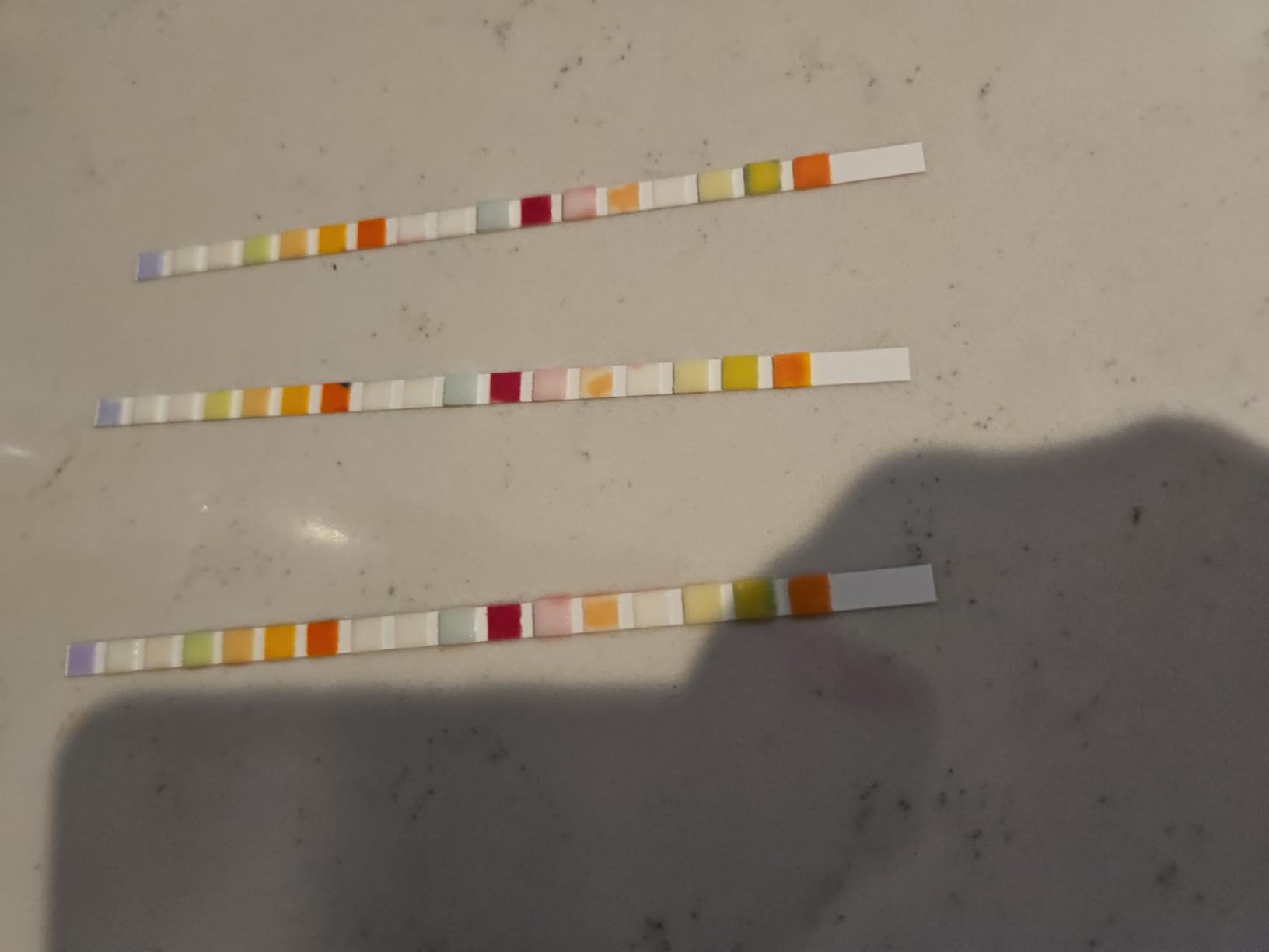 21 in 1 Accurate Drinking Water Testing Kits, 145 Strips + 4 Bacteria Tests, Well and Tap Water Test Kit, Home Test Strips for Lead, Fluoride, Chlorine, Hardness, pH, Iron, Copper, and More customer photo 1