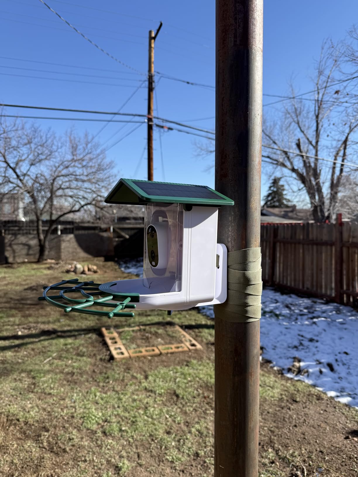 TECKNET Smart Bird Feeder with Camera, 2K UHD Video, AI Bird Species Identification, Instant Arrival Alerts, Solar Powered, Waterproof Birdhouse Camera, Gift for BirdLovers, Family, Green customer photo 1
