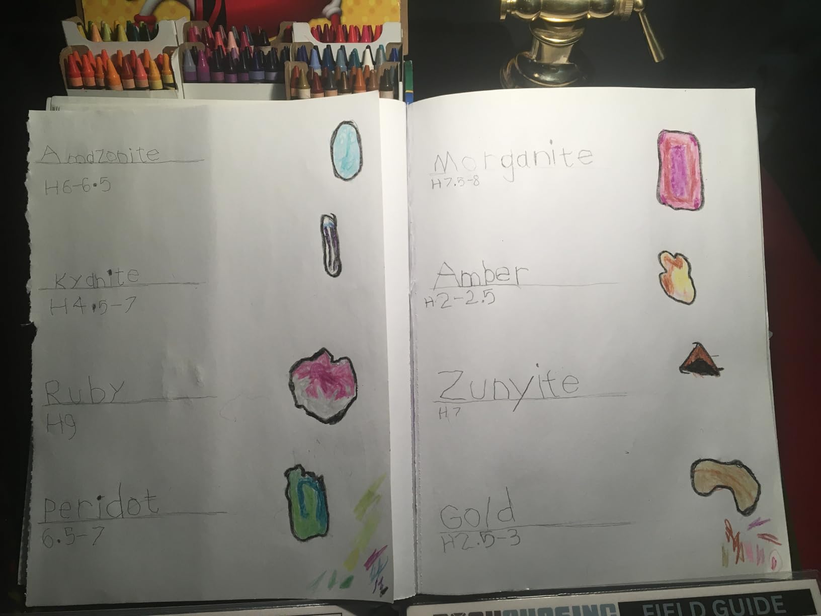 Rocks and Minerals of the United States Identification Field Guide | Waterproof | Easily Find & Identify Crystals, Gems, Geodes, and Rocks customer photo 1