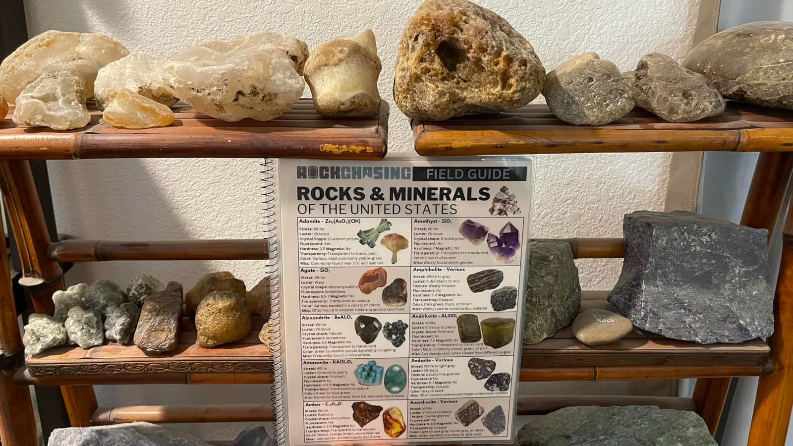 Rocks and Minerals of the United States Identification Field Guide | Waterproof | Easily Find & Identify Crystals, Gems, Geodes, and Rocks customer photo 2