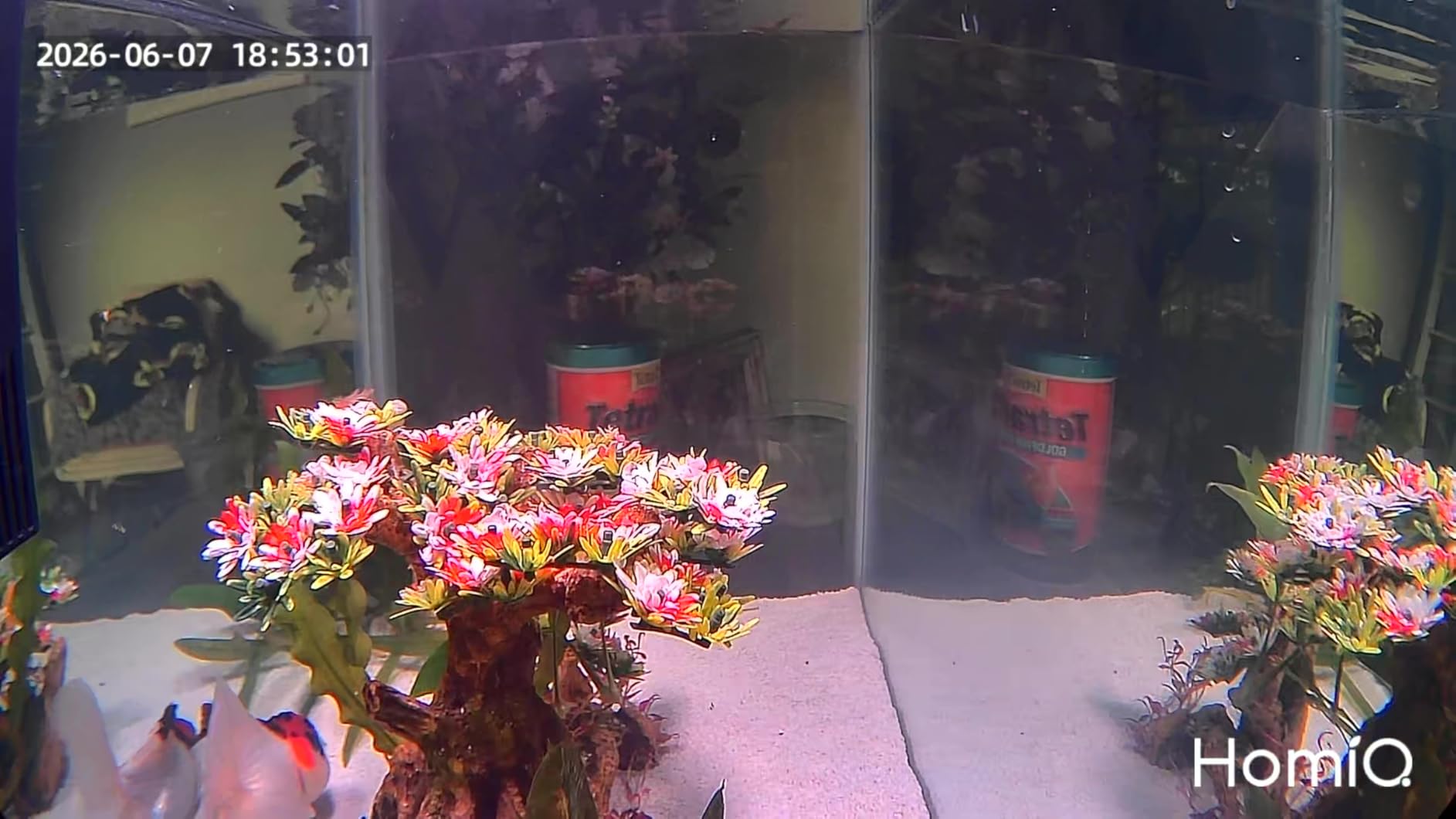 3MP 2K Aquarium & Terrarium Pet Camera. Install & Close-Focus Lens for Fish, Lizard, Reptile Pet and Window Bird Feeder, 2.4GHz & 5GHz WiFi, Auto-Focus, 24/7 Recording customer photo 1