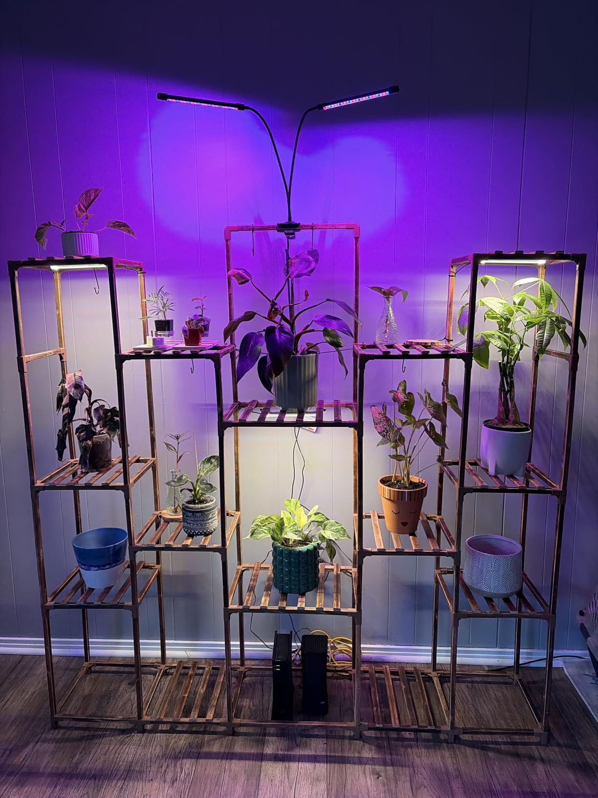Bamworld Plant Stand with Grow Lights Large Plant Shelf Indoor Hanging Plants customer photo 1